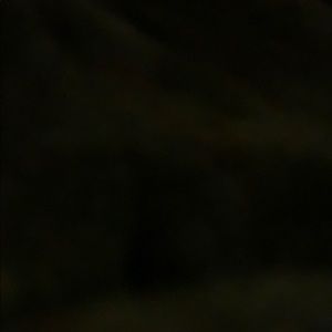 Meet your Posher, Skye